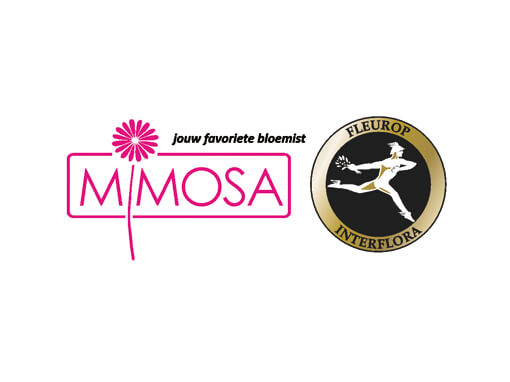 Mimosa