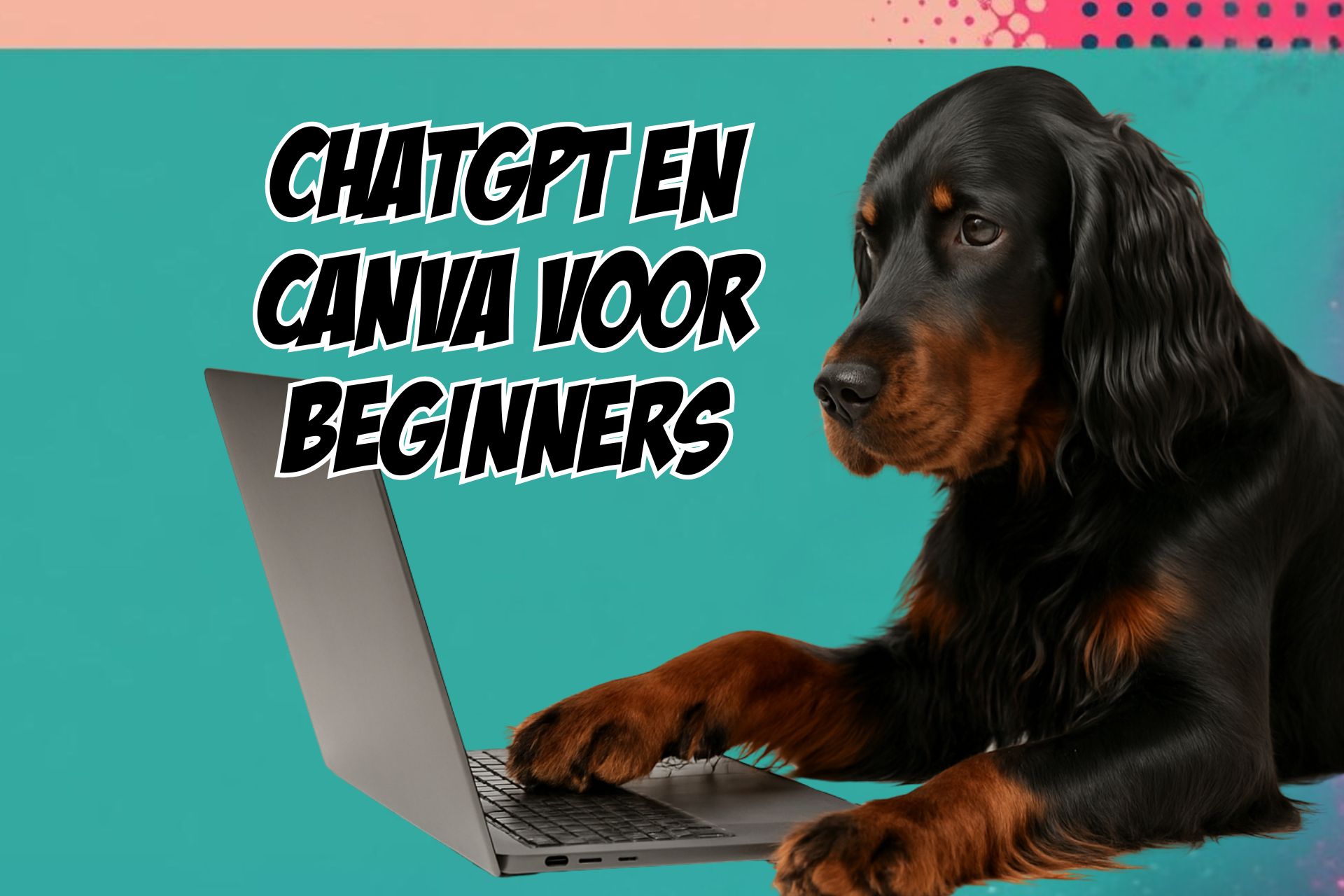 chatgpt en canva voor beginners